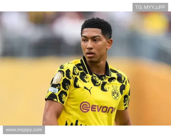 2025赛季符合资格参赛的德甲球队名单与准入规则解读